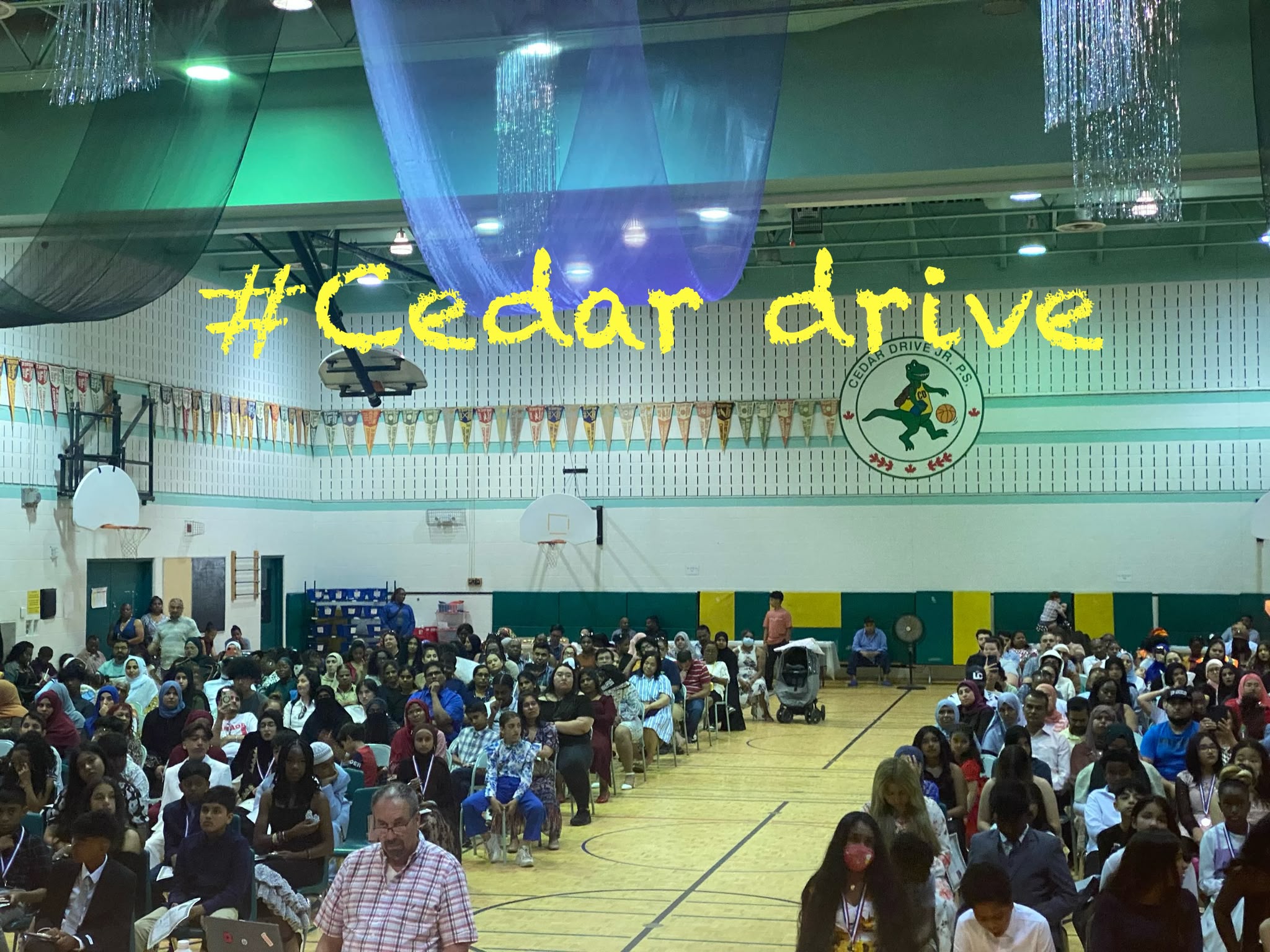 Cedar Drive Celebration